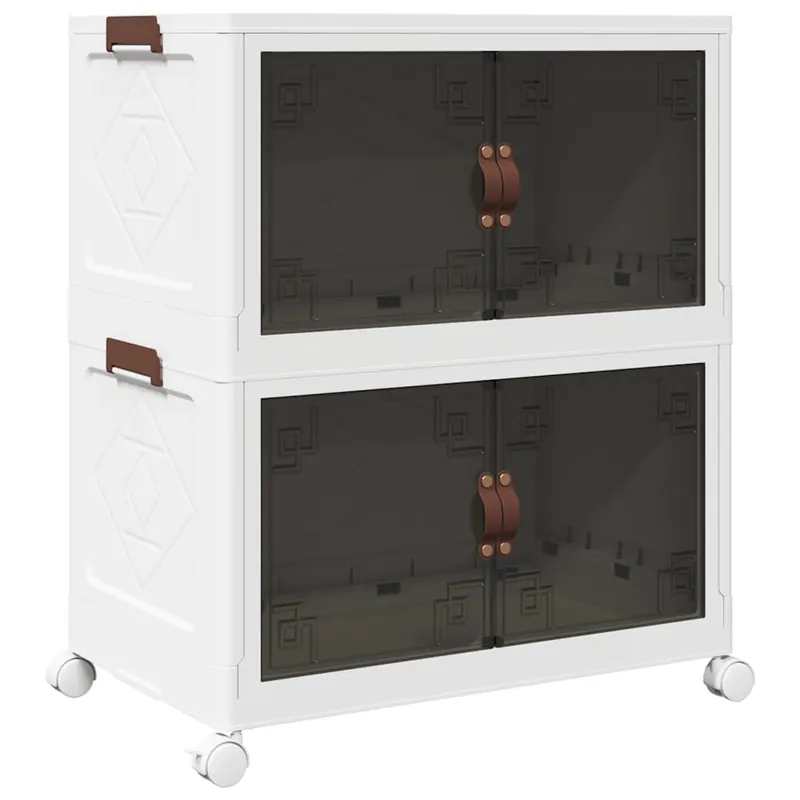 Scatola Portaoggetti con Ruote 2 Livelli Design Versatile e Leggero 64x40x76 cm