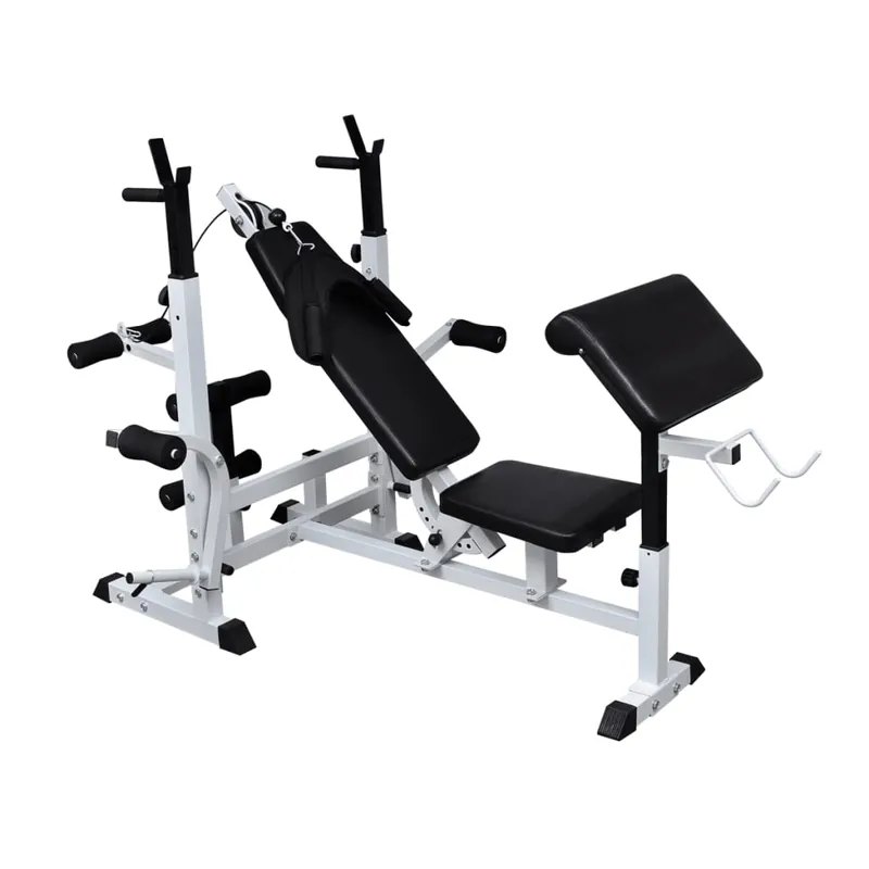 Panca Press Stazione Multifunzione Fitness Braccia e Pettorali